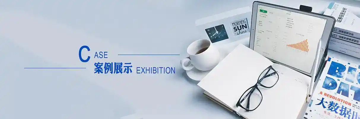 林芝地区软件开发